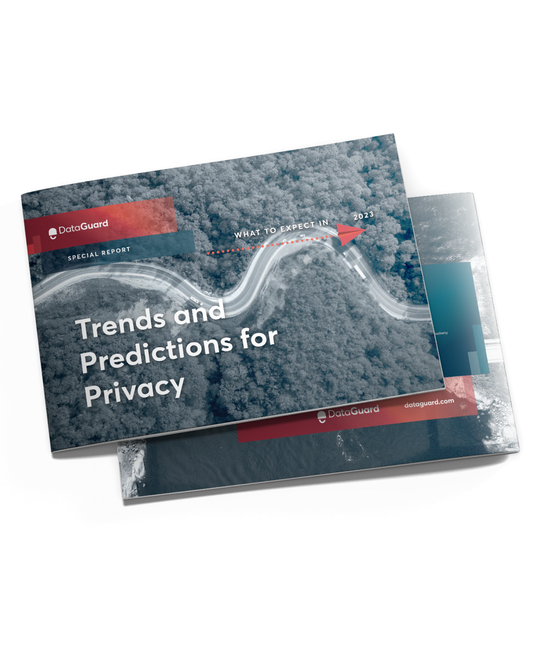 Featured Resource Expert Report Privacy 23